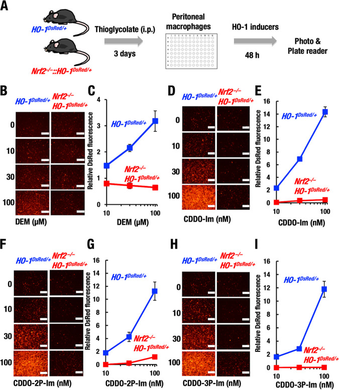 FIG 6