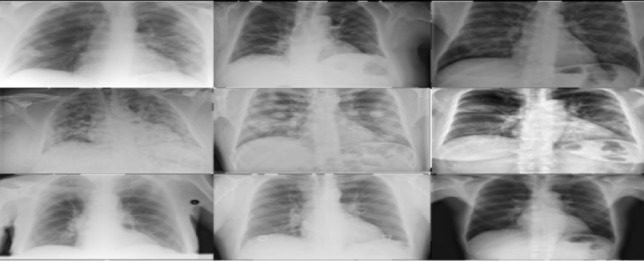 Fig. 4