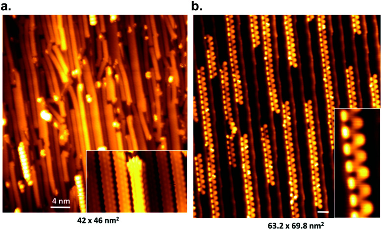 Fig. 12