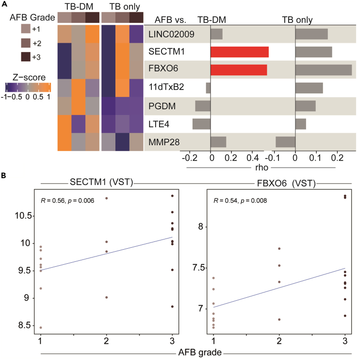 Figure 2