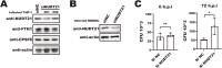 Figure 6