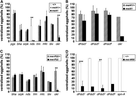 Figure 4.—