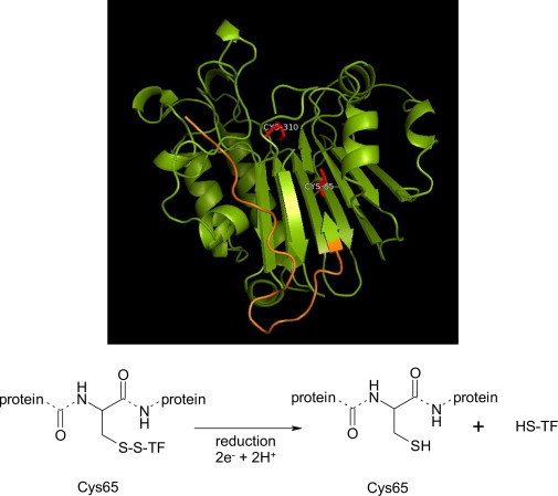 Fig. 4