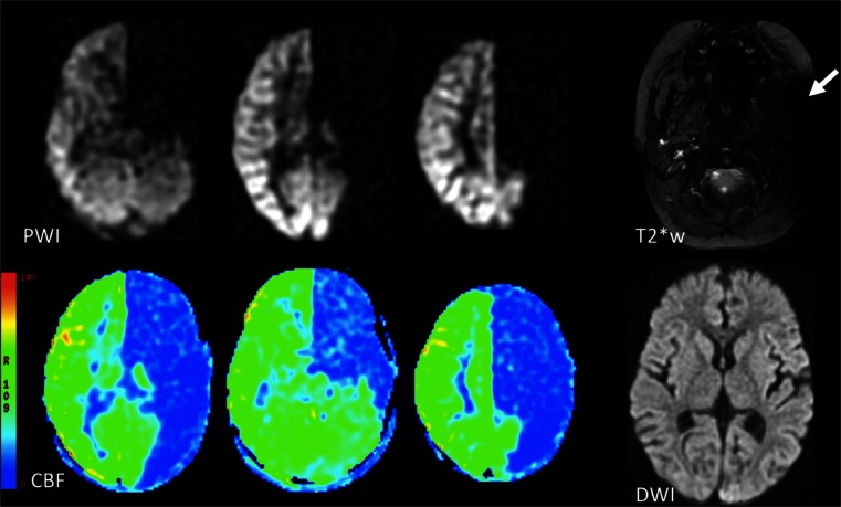 Fig. 7