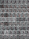 Figure 1—figure supplement 3.