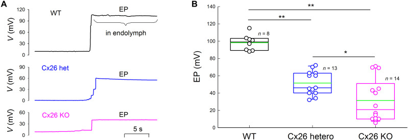 Fig. 6.