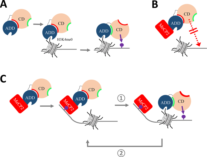 Figure 7.