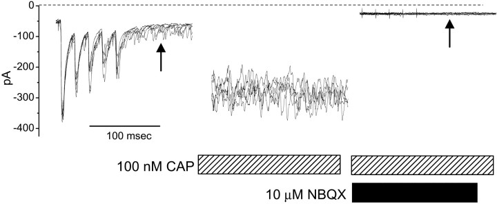 Fig. 10.