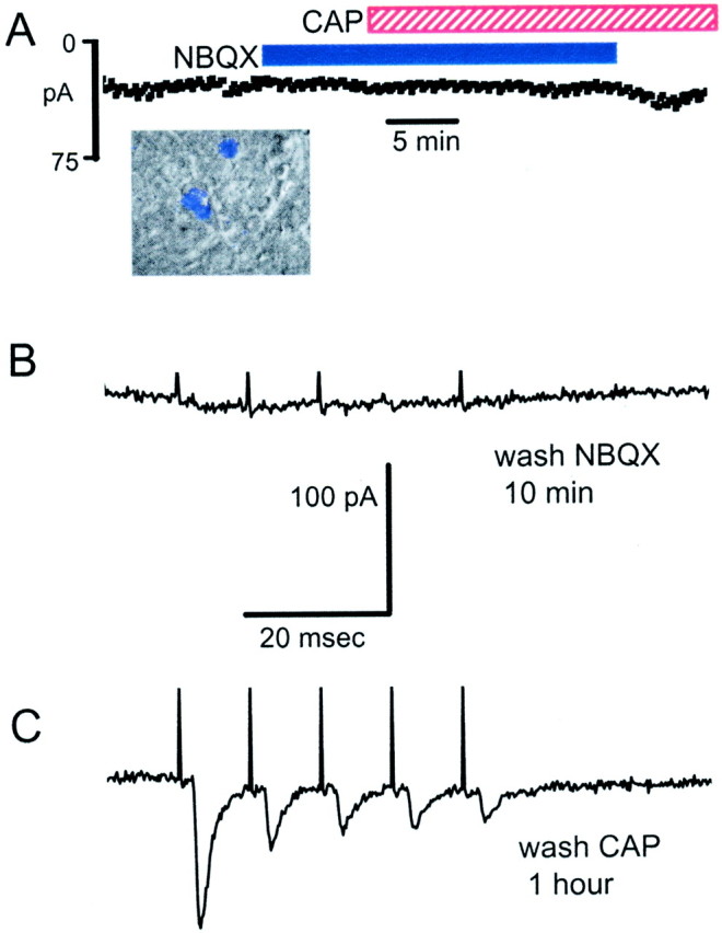 Fig. 9.