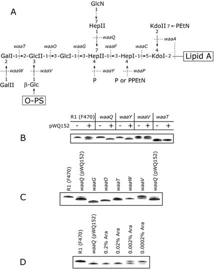 FIG. 5.