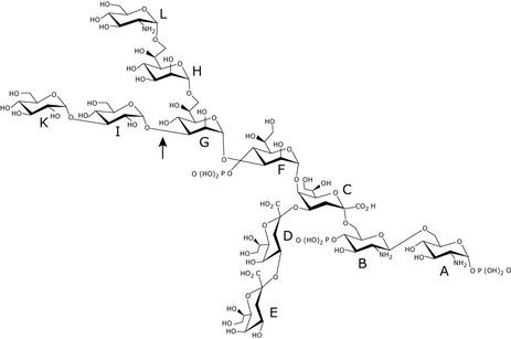 FIG. 9.