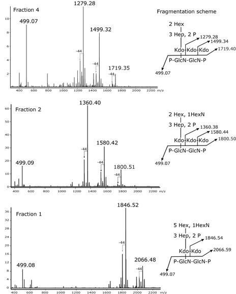 FIG. 8.