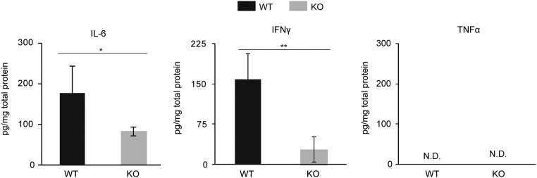 Fig. S1.