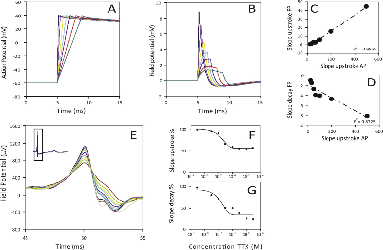 Fig. 3