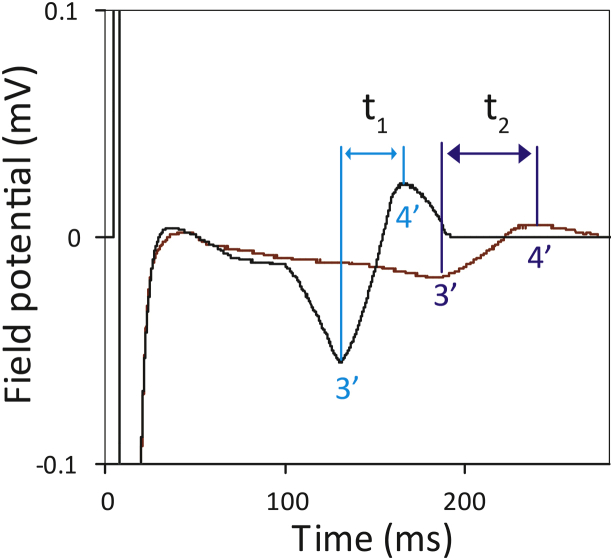 Supplementary Fig. 1