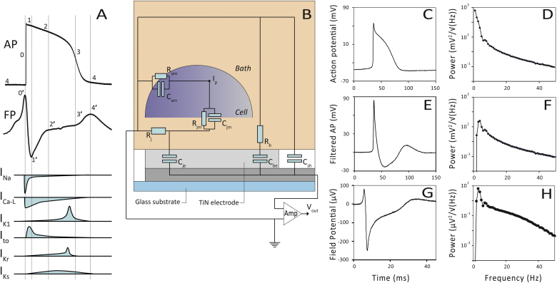 Fig. 1