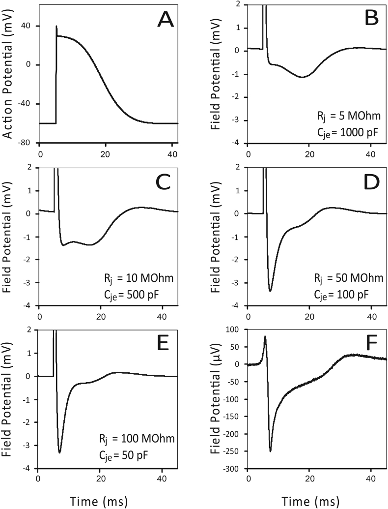 Fig. 2