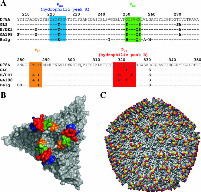 FIG. 3.