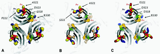 FIG. 4.