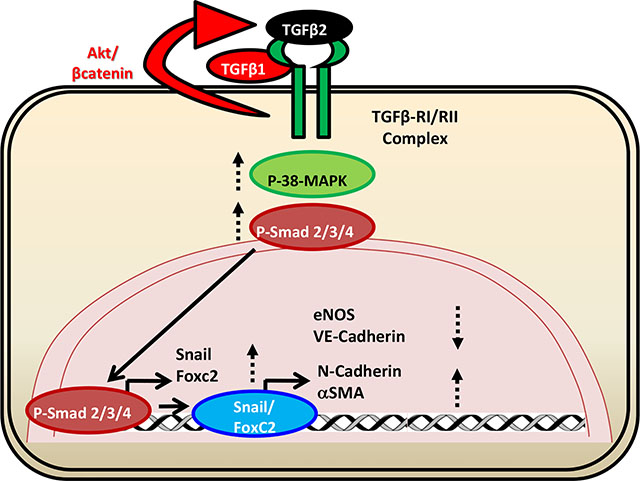 graphic file with name nihms-1527198-f0001.jpg