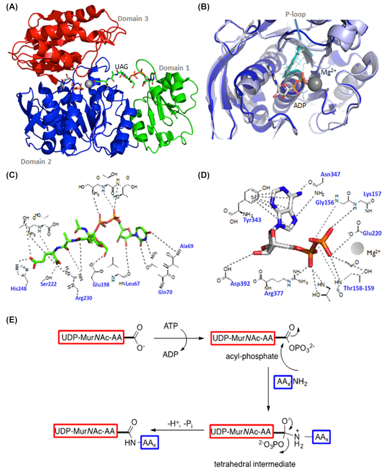 Figure 3.