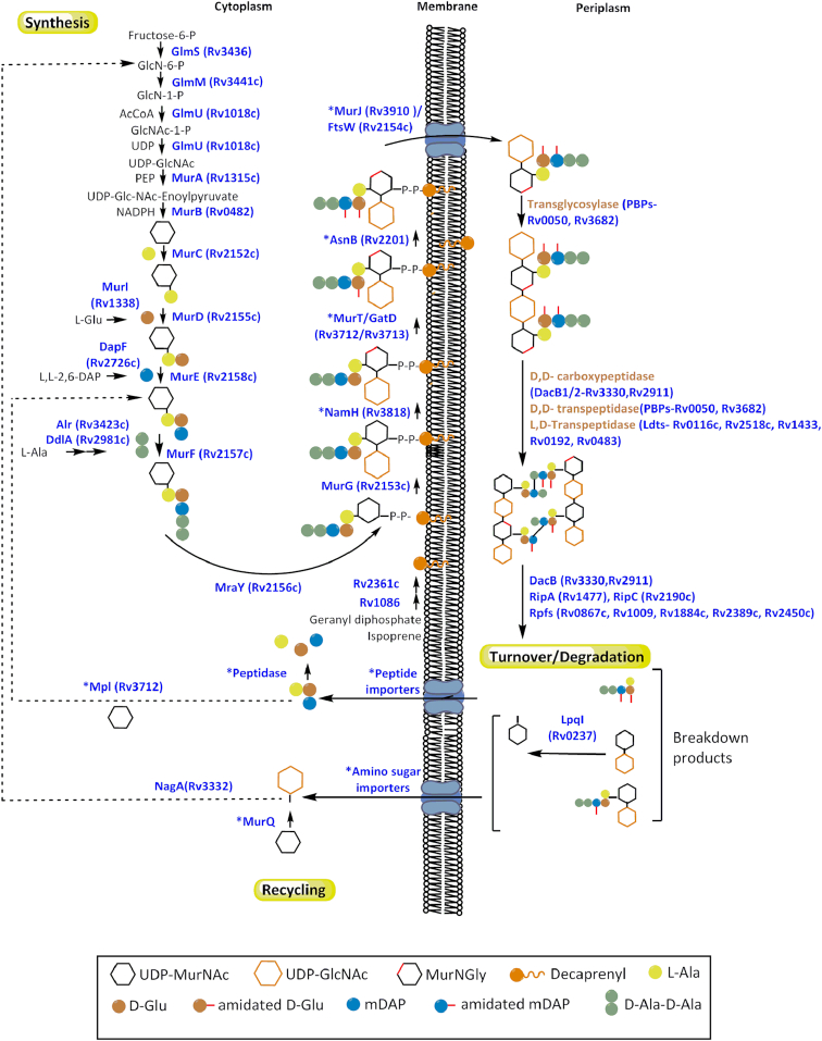 Figure 2.