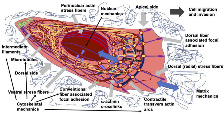 FIGURE 10