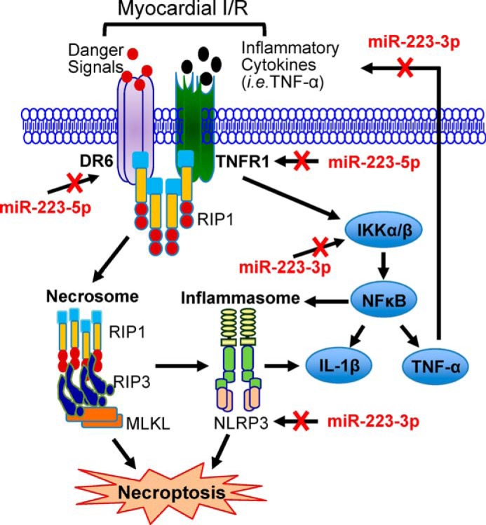 FIGURE 11.