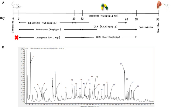 FIGURE 1