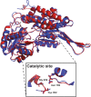 Fig. 6