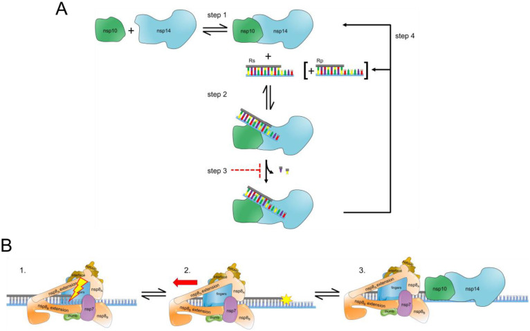 Figure 11.