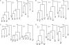 F<sc>igure</sc> 1.—