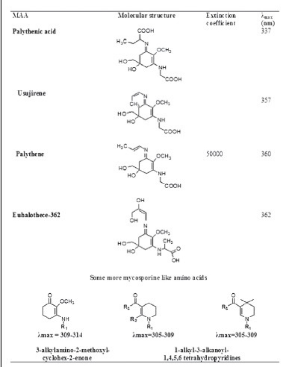 Graph 1