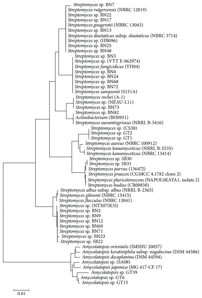 Figure 5