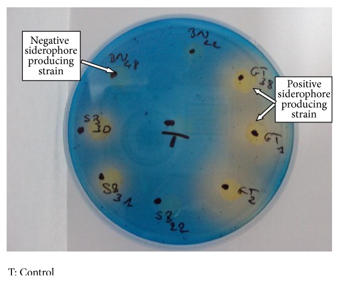 Figure 6