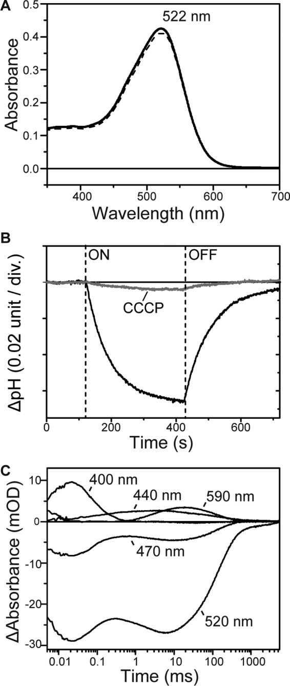 FIGURE 6.