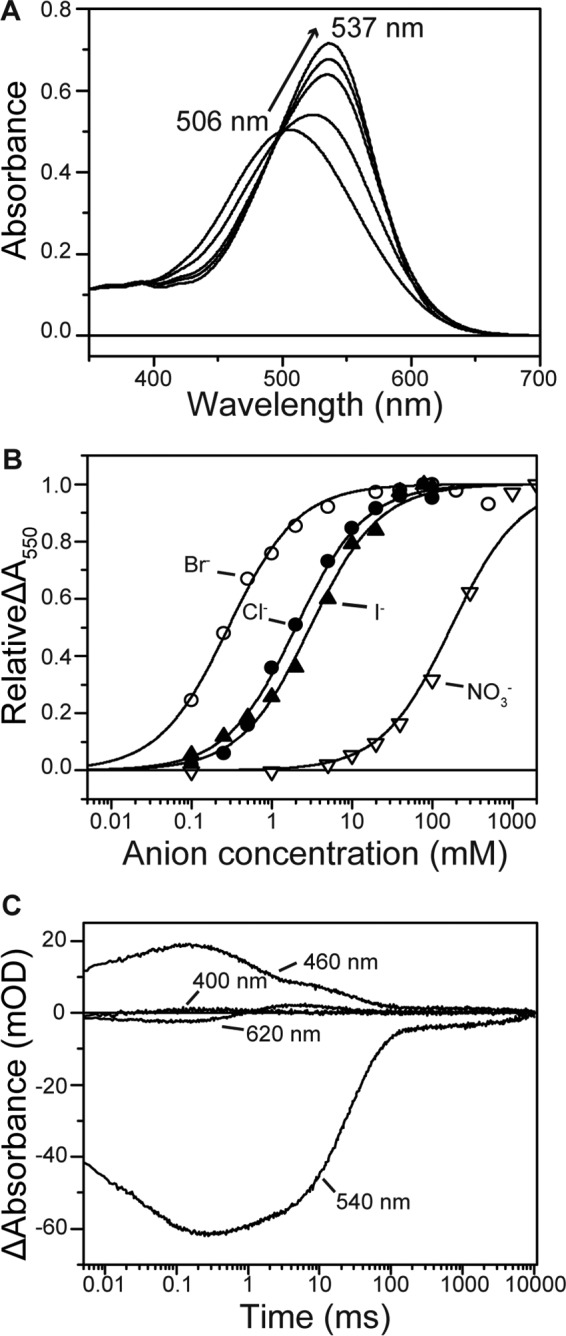 FIGURE 5.