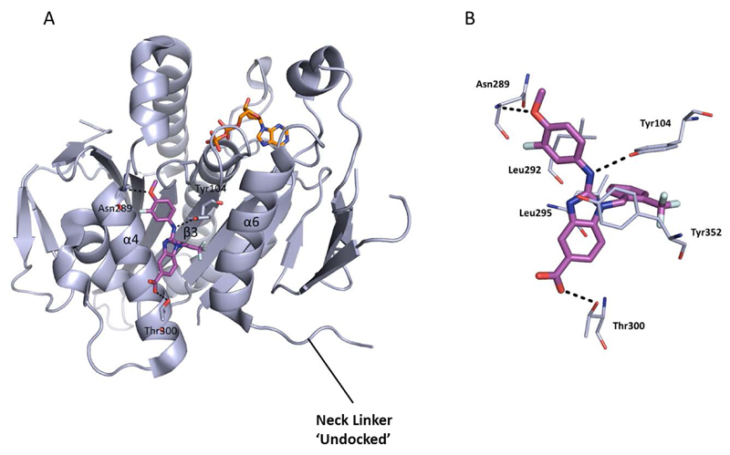 Figure 11