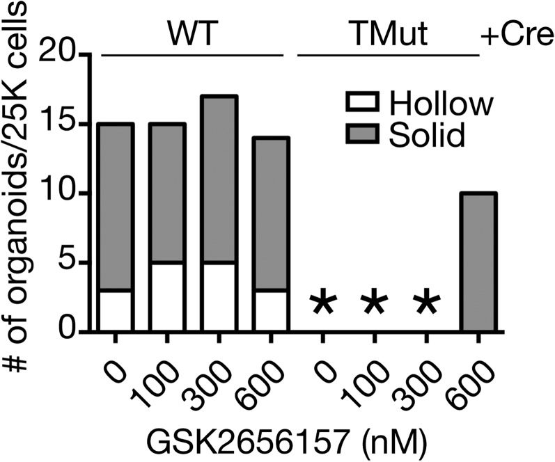 Fig. S5.