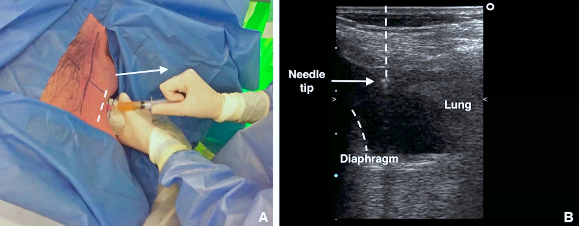 Fig. 4