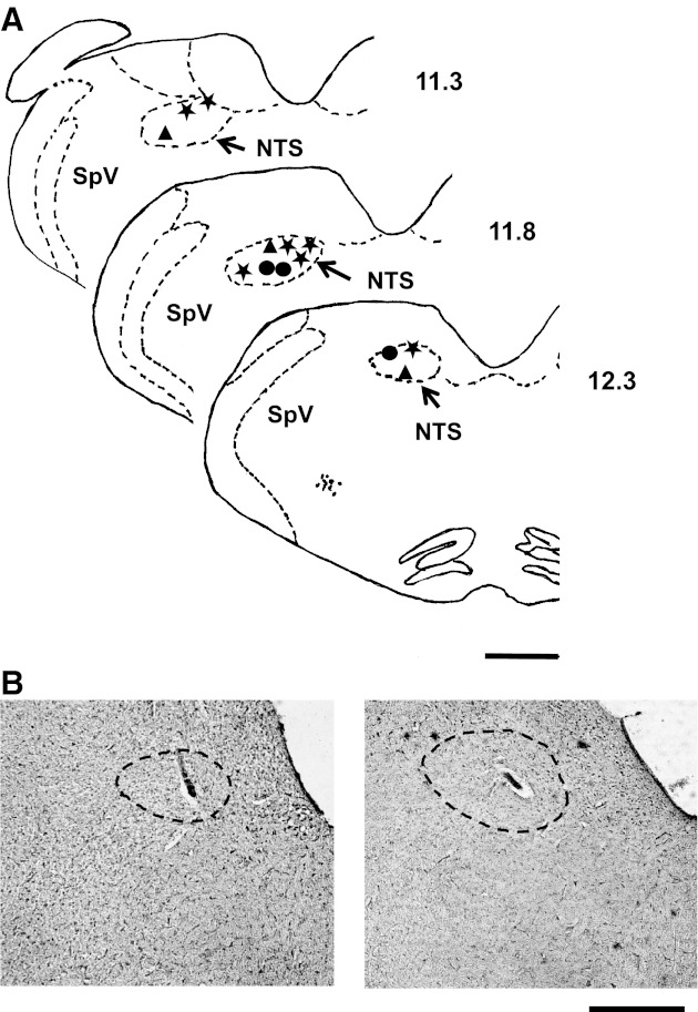 Fig. 8.