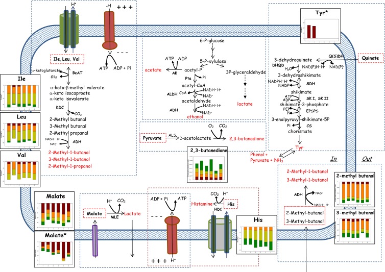 FIG 3