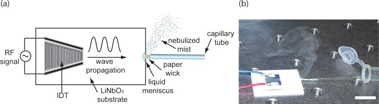 FIG. 1.