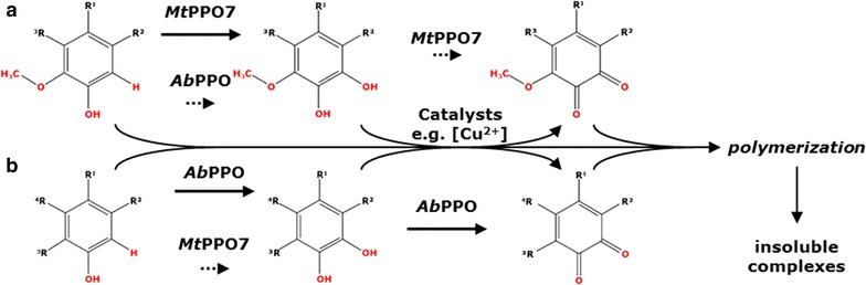 Fig. 8