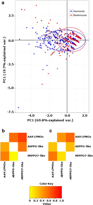 Fig. 7