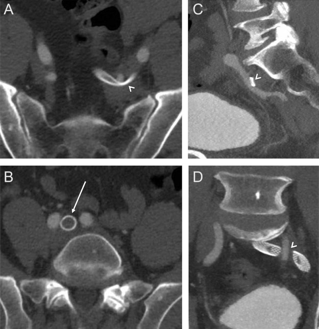 Fig. 3