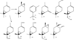 Scheme 3