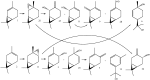 Scheme 4