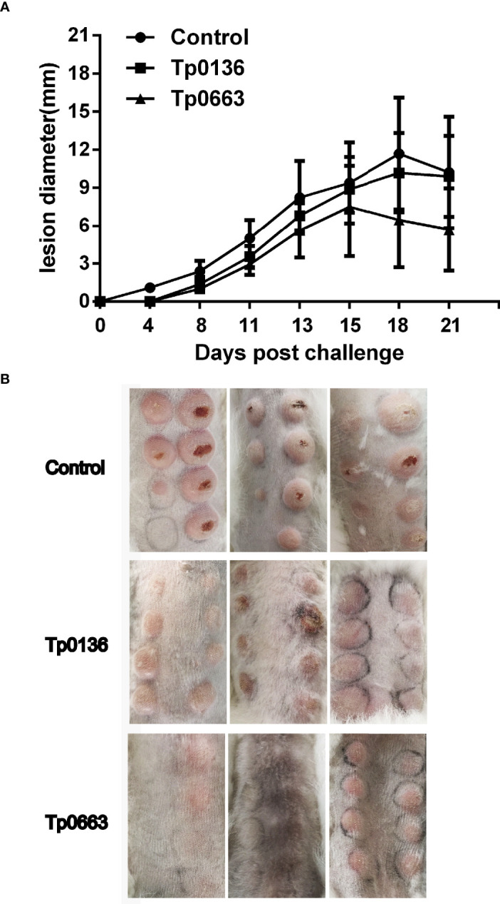 Figure 3