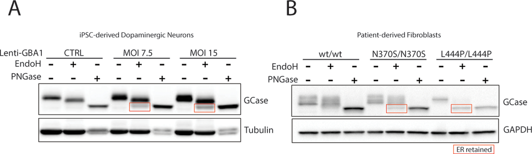 FIG 1.